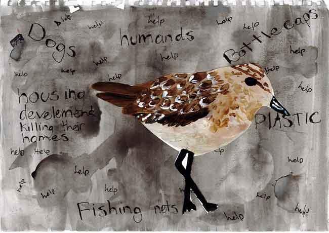 Shorebirds 2nd Place Stage 3