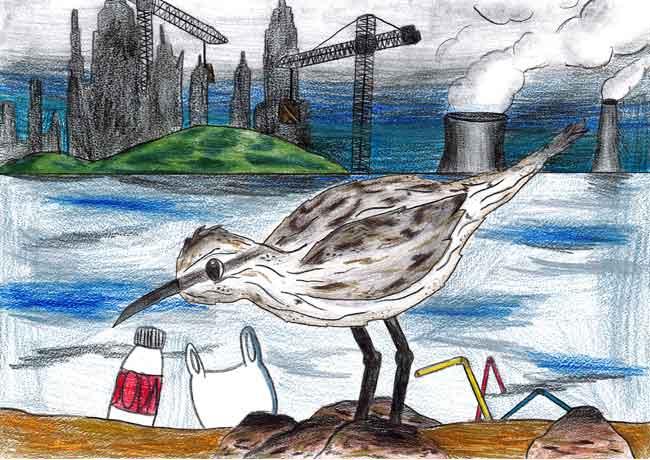 Stage 3 Marina Stafidas, Class 5/6B Gymea North Primary Schools