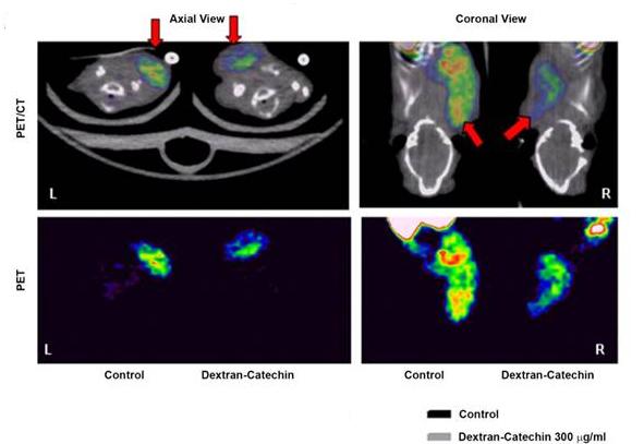 PET imaging Dextran catechin and control