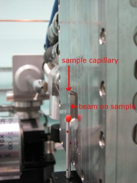 tomo_capillary_label