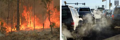 bushfire vs diesel