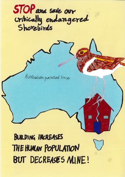 Donburn - Melbourne Shorebirds
