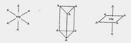 Predicted structures