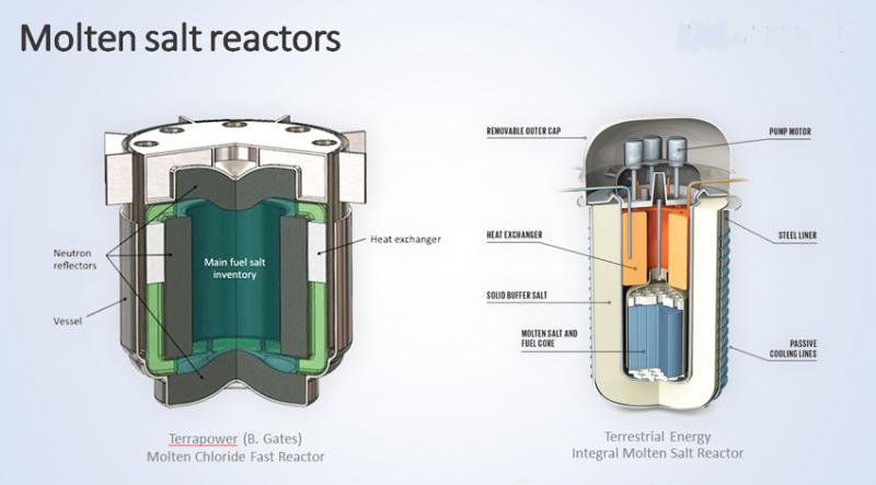 Molten salt reactors