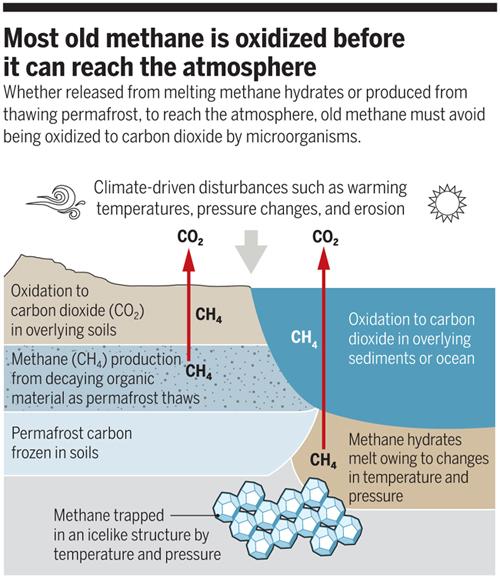 Fossil methane emissions