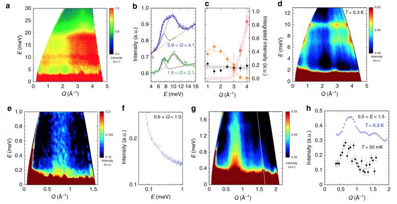 Inelastic neutron scattering of two dimensional material
