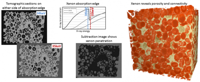 Demonstration of the use of Xe gas as a contrast media for X-ray micro...