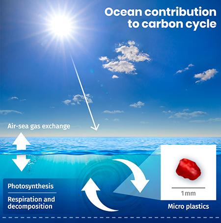 Microplastics into the carbon cycle