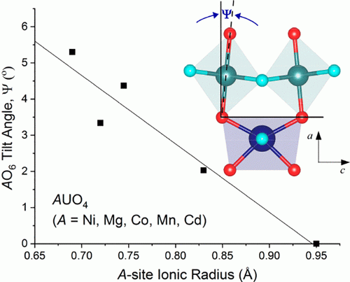 Tilting and distortion in uranium compounds