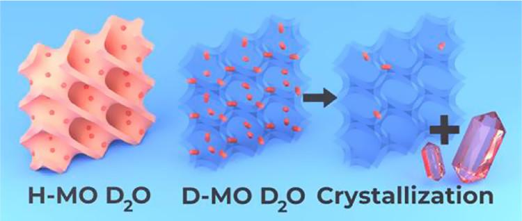 deuterated monoolein