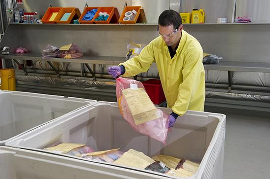 ow level waste comprises paper, plastics, gloves, clothes and filters.jpg