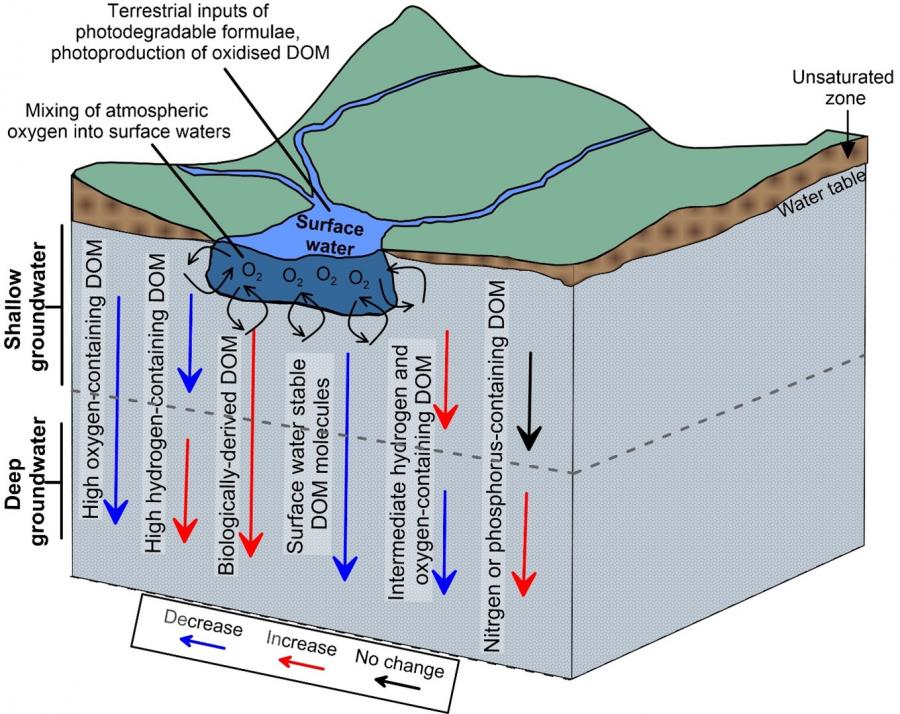 Framework to analyse carbon in groundwater