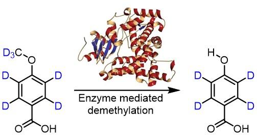 Enzyme mediated demethylation reaction
