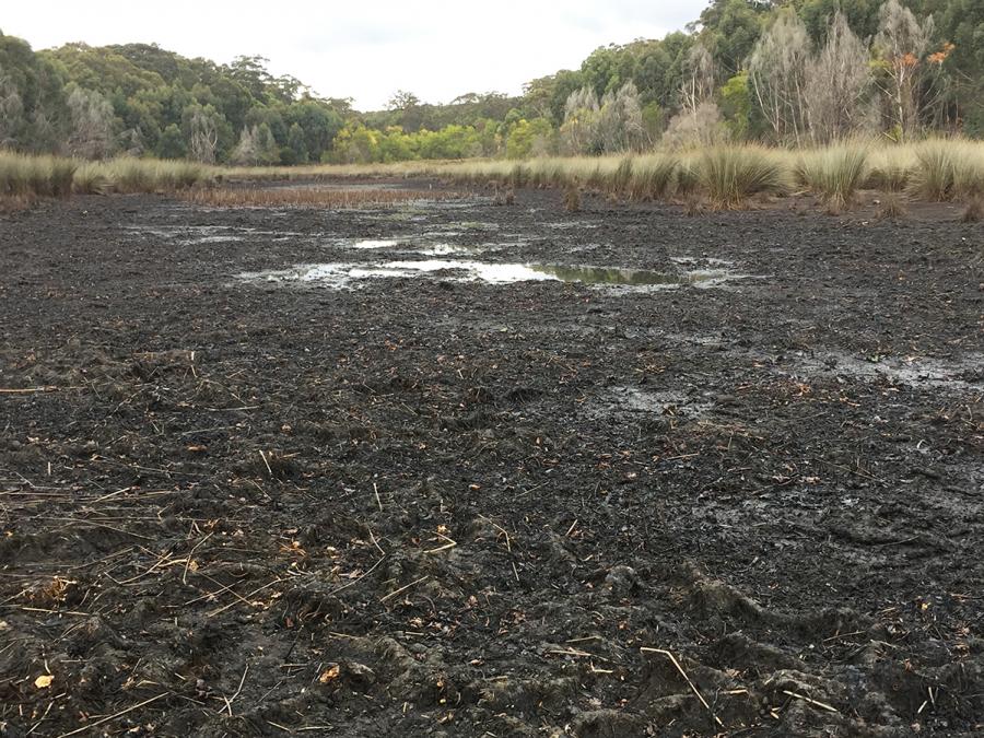 Not much water left in Lake Nerrigorang  July 2018