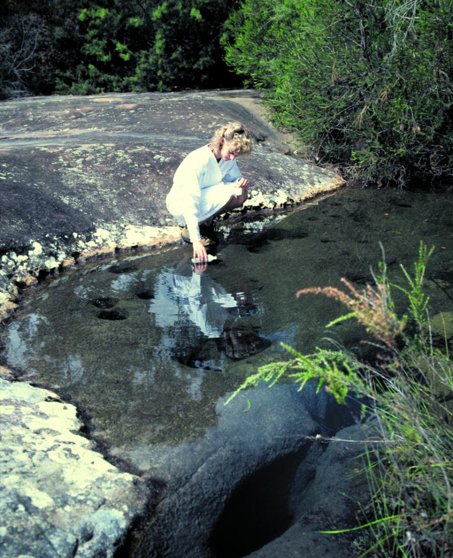 Emmy Hoffmann Environmental Monitoring