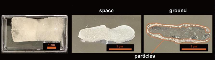 Colloidal particles