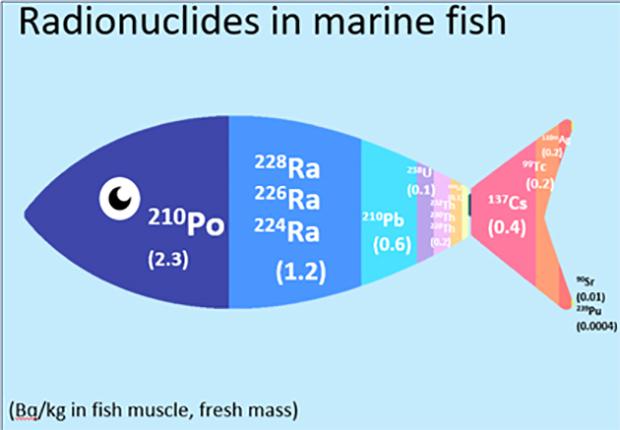 Radionuclides in marine fish