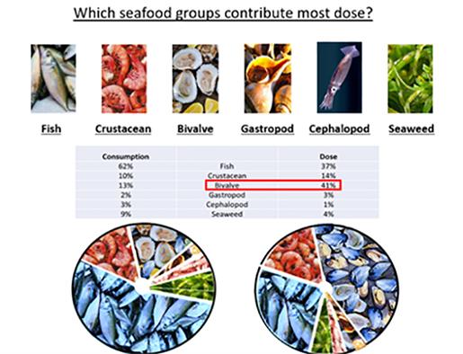 which seafood groups contribute most
