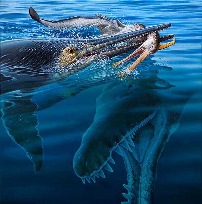 Illustration fossilised marine reptile