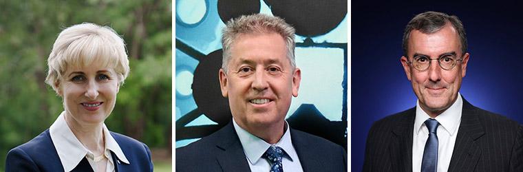 Webinar panel