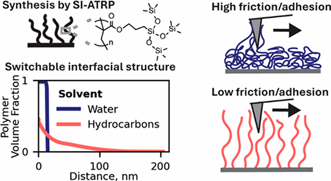 Silicon surfaces