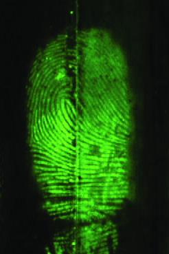 Green fingermark 1