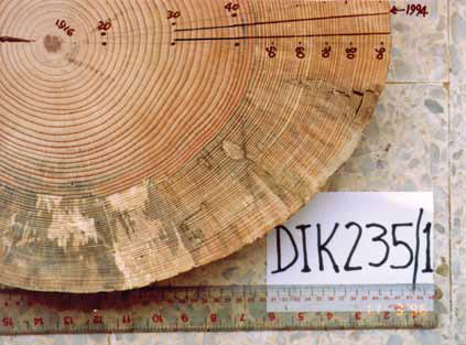 Tree Rings Research Selections_figure 5