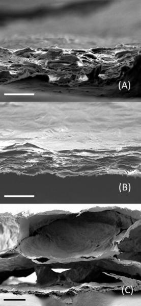 Graphene Figure 