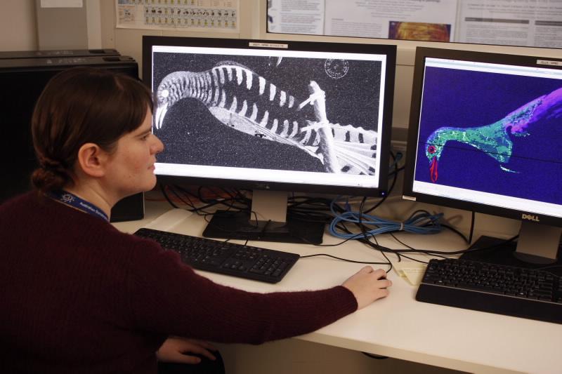 Early drawings being tested at Synchrotron