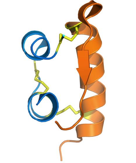 Insulin structure