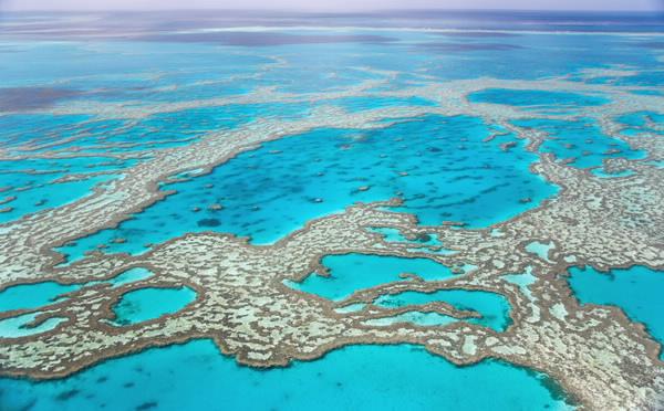 Great Barrier Reef 