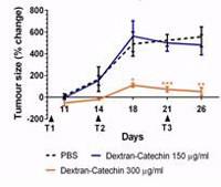 Reduction in tumour growth