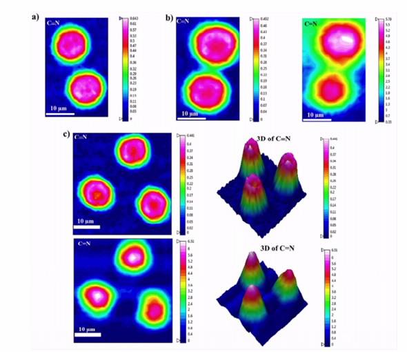 Cup and cone Carbon fibres