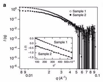 SANS data nanoparticles