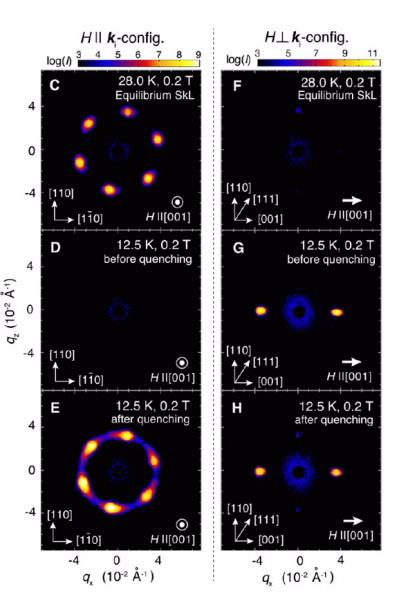 SANS data skyrmions