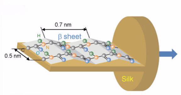 Atomic structure silk fibre