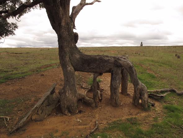 Soil erosion