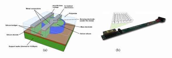 Microdosimetry