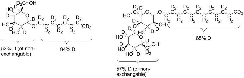 OG and DDM surfactants