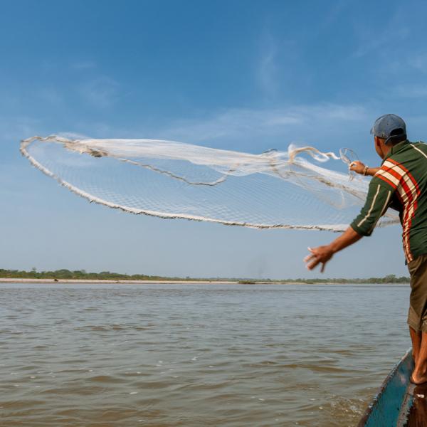 Banner fishing