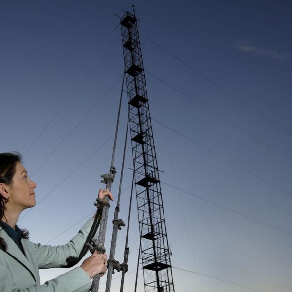 Lucas Heights Weather Station