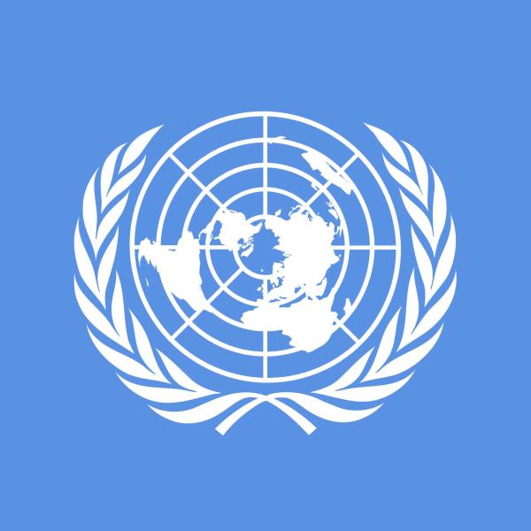 UN logo