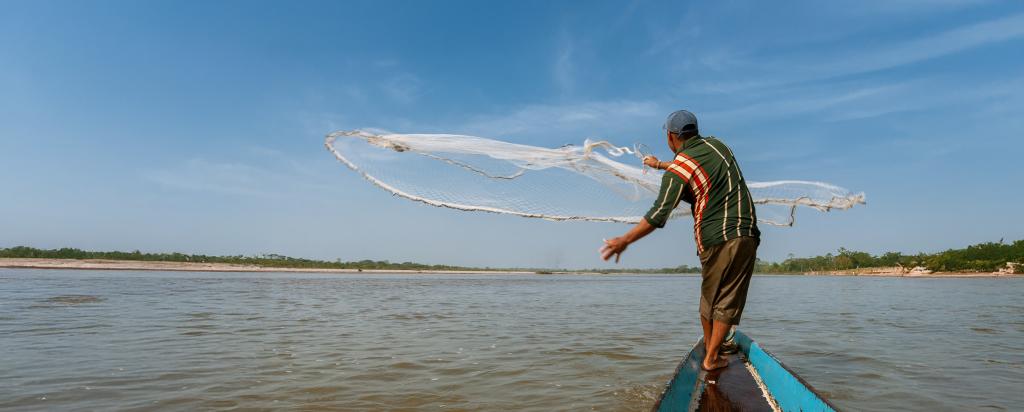 Banner fishing