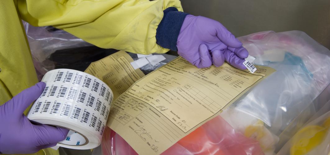 Waste management services